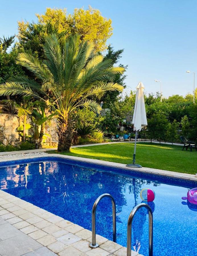 טבעון Villa Tivon מראה חיצוני תמונה