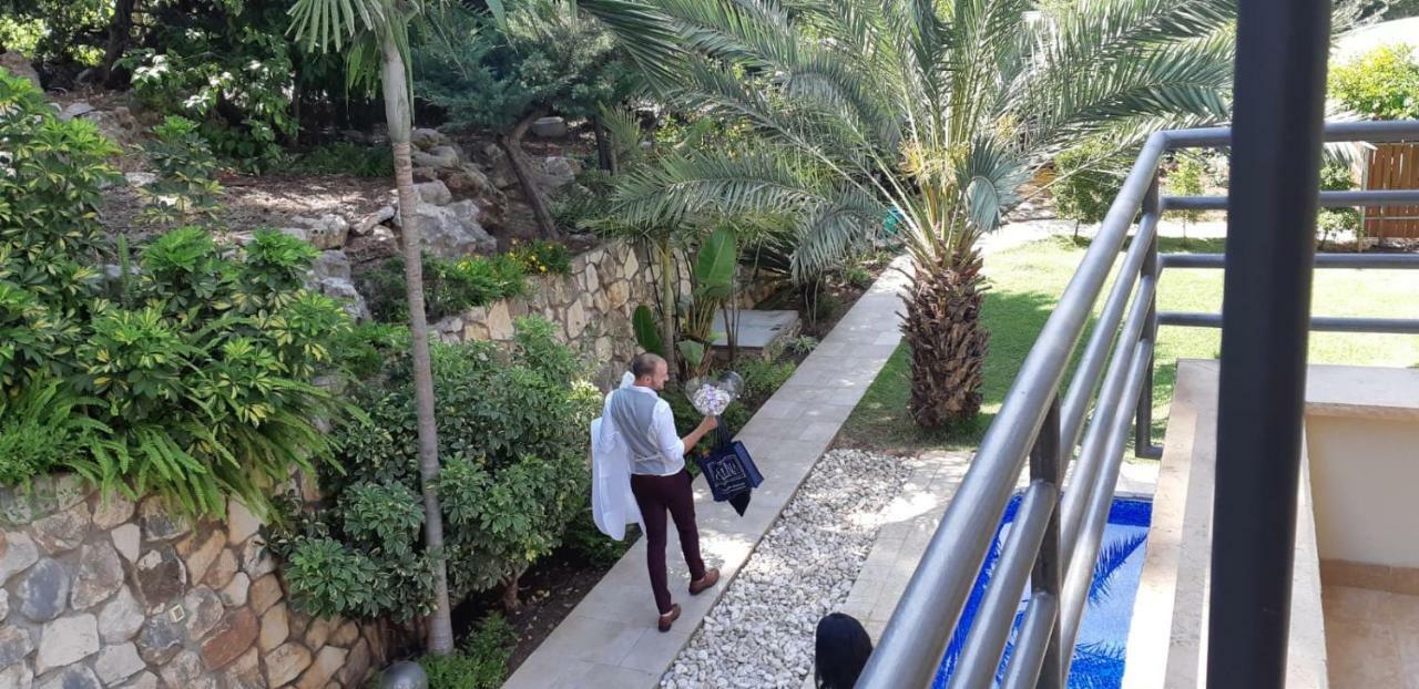 טבעון Villa Tivon מראה חיצוני תמונה